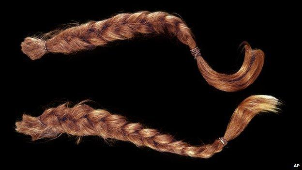 Willie Nelson's braids