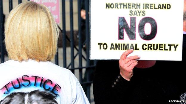 Animal rights campaigners