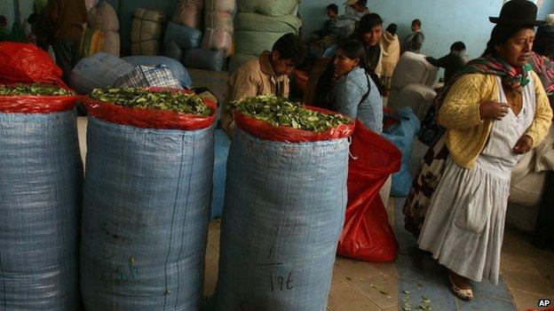 Bags with coca leaves at the coca market in La Paz