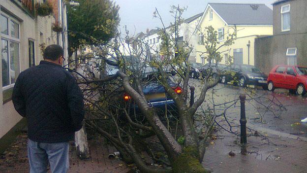 A tree fell onto this car in Roath in Cardiff