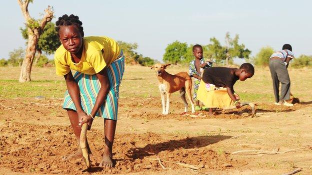 Four children working in a field, with a dog