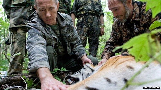 Putin, tiger