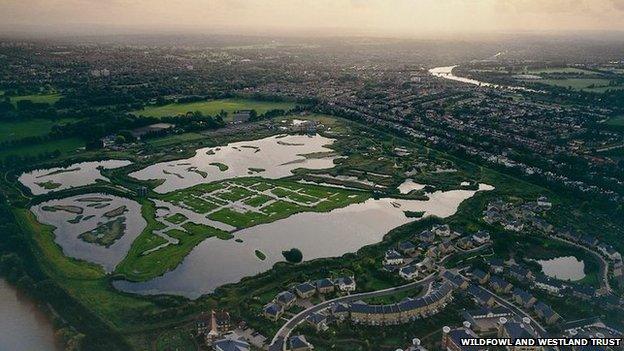 London Wetland Centre