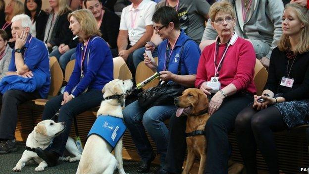 Guide dogs, trainee, in the Holyrood public gallery