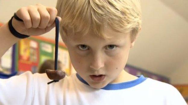 A child lines up a conker