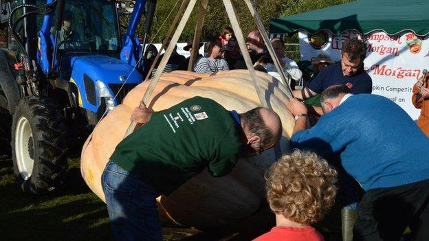 Netley Pumpkin Festival 2014