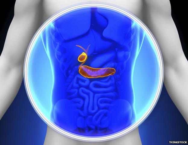 Body cross-section showing the gall bladder