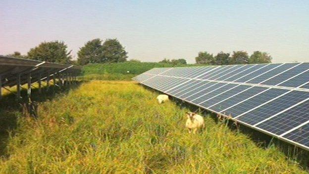 A solar farm