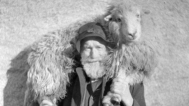 Man with a sheep