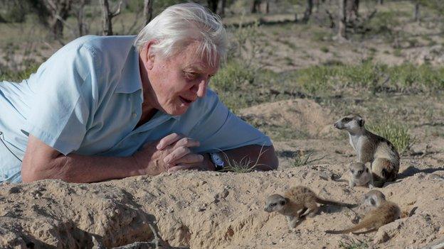 David Attenborough with some furry friends