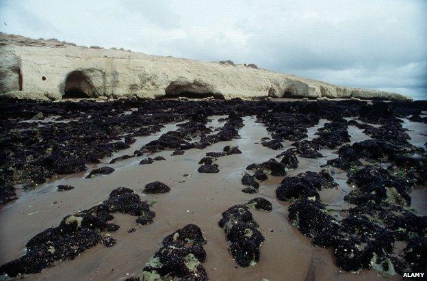 The first Welsh settlers landed in 1865 living in the caves in the cliffs