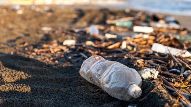 Litter on beach