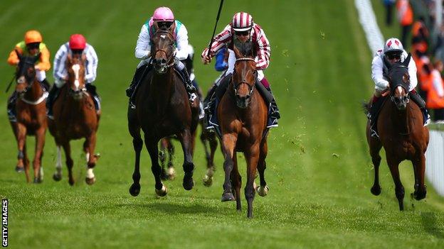 Cirrus Des Aigles winning the Coronation Cup at Epsom in June