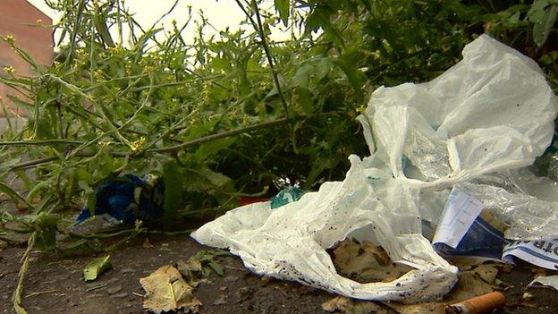 Plastic bags littering the environment