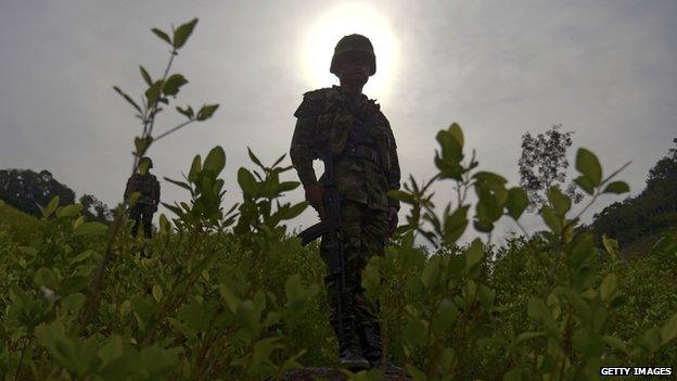 A Colombian soldier provides security to a group of peasants working in eradication of coca plantations in Colombia on 3 September, 2014.