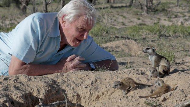 David Attenborough