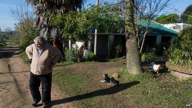 Jose Mujica looks at his orchard as he walks in the garden of his house on the outskirts of Montevideo on 9 July, 2014.