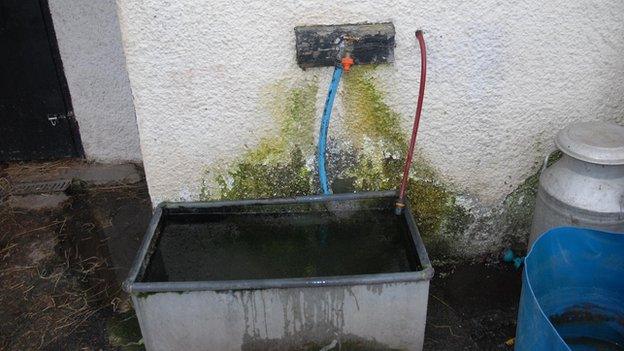 A horse trough at Cariad Farm