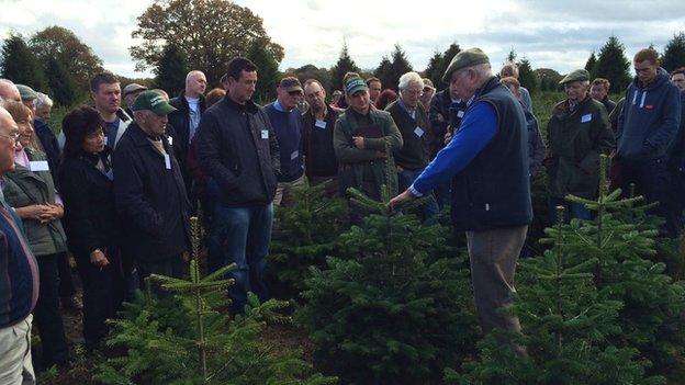 Andrew Ingram demonstrates how to grow Christmas trees