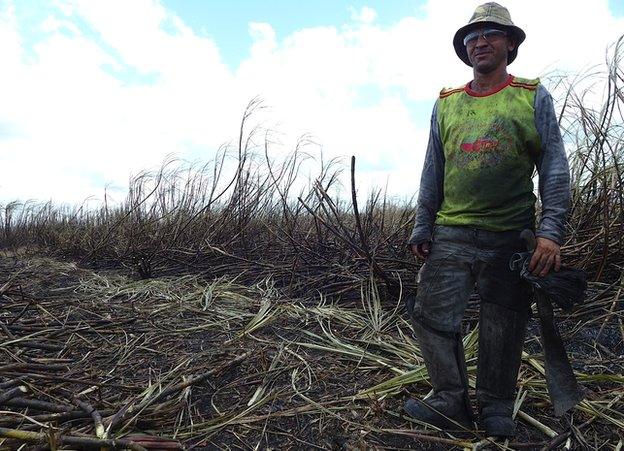 Givanildo Jose Cesario, 35, pictured in a sugar cane field