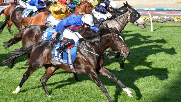 Adelaide gets up by a head to win the Cox Plate