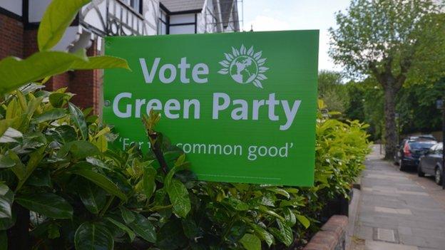Green Party banner