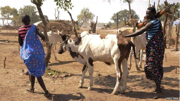 Cattle keepers carry weapons as they lead their cattle home after grazing at a cattle camp outside the capital of Juba, 18 October 2014