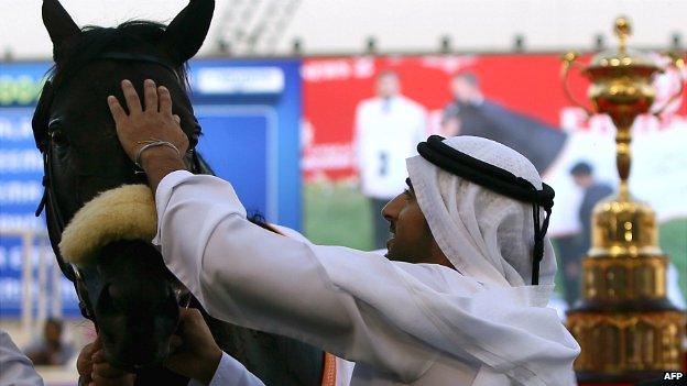 Cavalryman, one of many horses owned by the Crown Prince of the United Arab Emirates, Sheikh Mohammed bin Rashid al-Maktoum - 30 March 2013