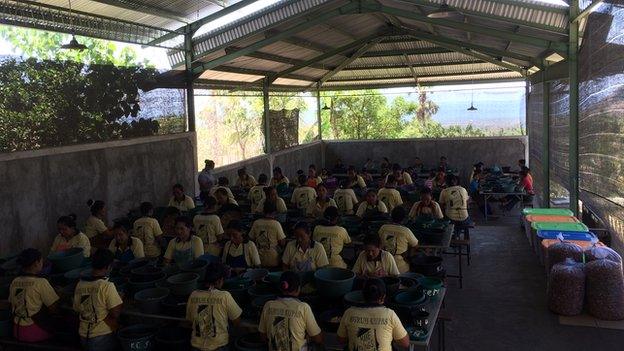 East Bali Cashews factory
