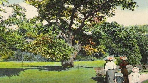 The grand old Allerton Oak has been a visitor attraction for many years