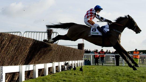 The Giant Bolster