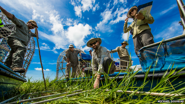Kakadu rangers and researchers at work in the national park's floodplain - 3 November 2014