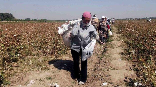 Much of Uzbekistan's cotton is picked by hand