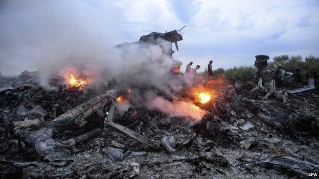 Flight MH17 wreckage