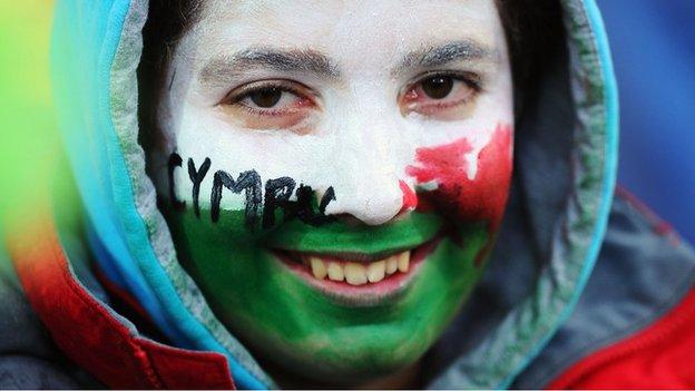 Welsh rugby fan