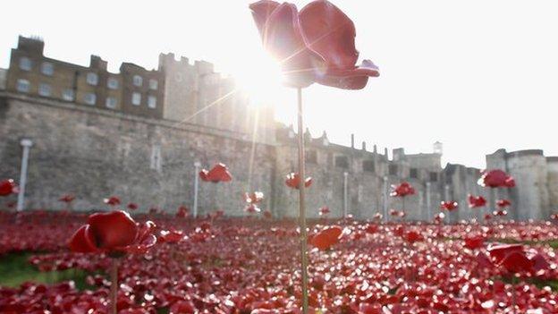 A picture of the poppies at the Tower of London