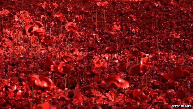 ceramic poppies