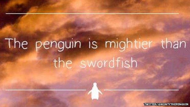 Monty the penguin: 10 facts you didn't know