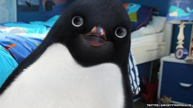 Monty the Penguin: 10 facts you didn't know