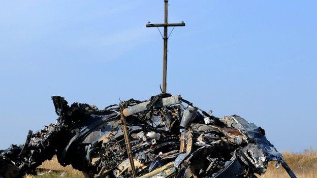 Wreckage from flight MH17 lies undisturbed at the village of Rassipnoe (15 Oct)