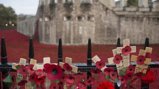 Tower of London Poppy display