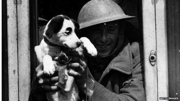 War animals