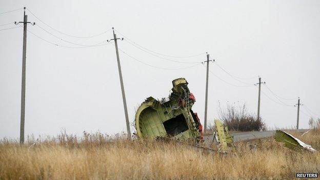 Part of the wreckage near Grabove in eastern Ukraine (8 Nov)