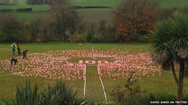 A field of poppies at Coleg Cambria