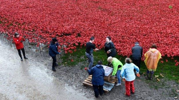 Volunteers begin to remove the 888,246 hand made poppies