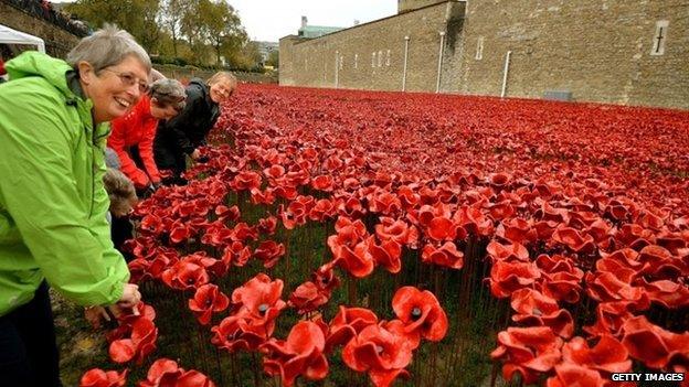 A group of volunteers remove poppies from the moat