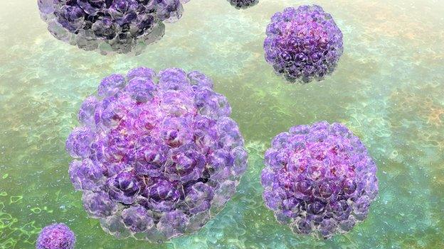 HPV