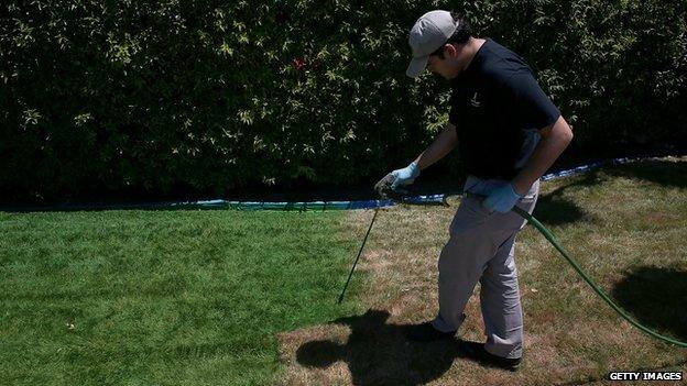 Man sprays lawn green