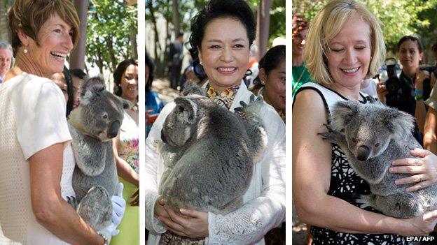 Australian first lady Margie Abbott, China's first lady Peng Liyuan and Canada's first lady Laureen Harper holding koalas at a koala sanctuary in Brisbane on 15 November 2015