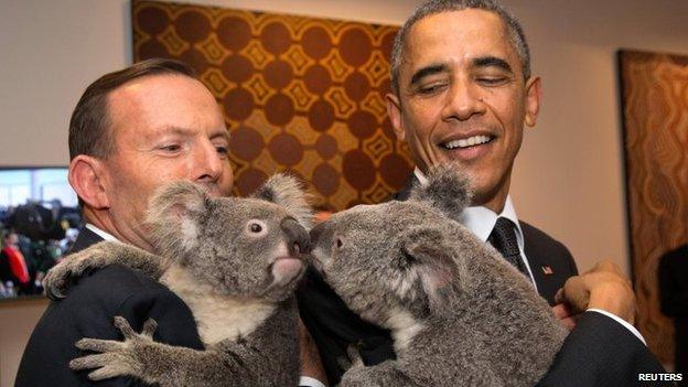 Australia's Prime Minister Tony Abbott (L) and US President Barack Obama each hold a koala at the G20 Leaders Summit in Brisbane, Australia on 15 Nov 2014